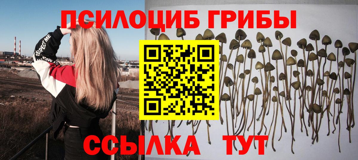 Георгиевск  Галлюциногенные грибы мицелий  Вход с VPN 
